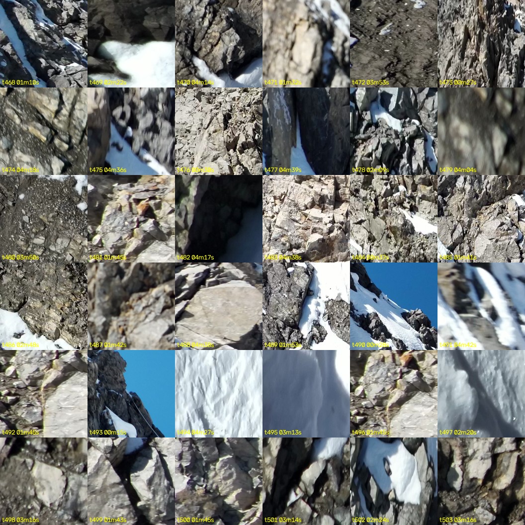 montage_13.jpg