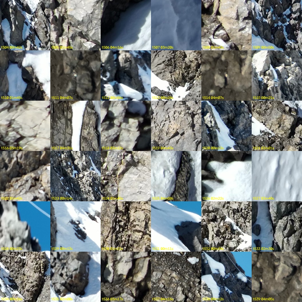 montage_14.jpg