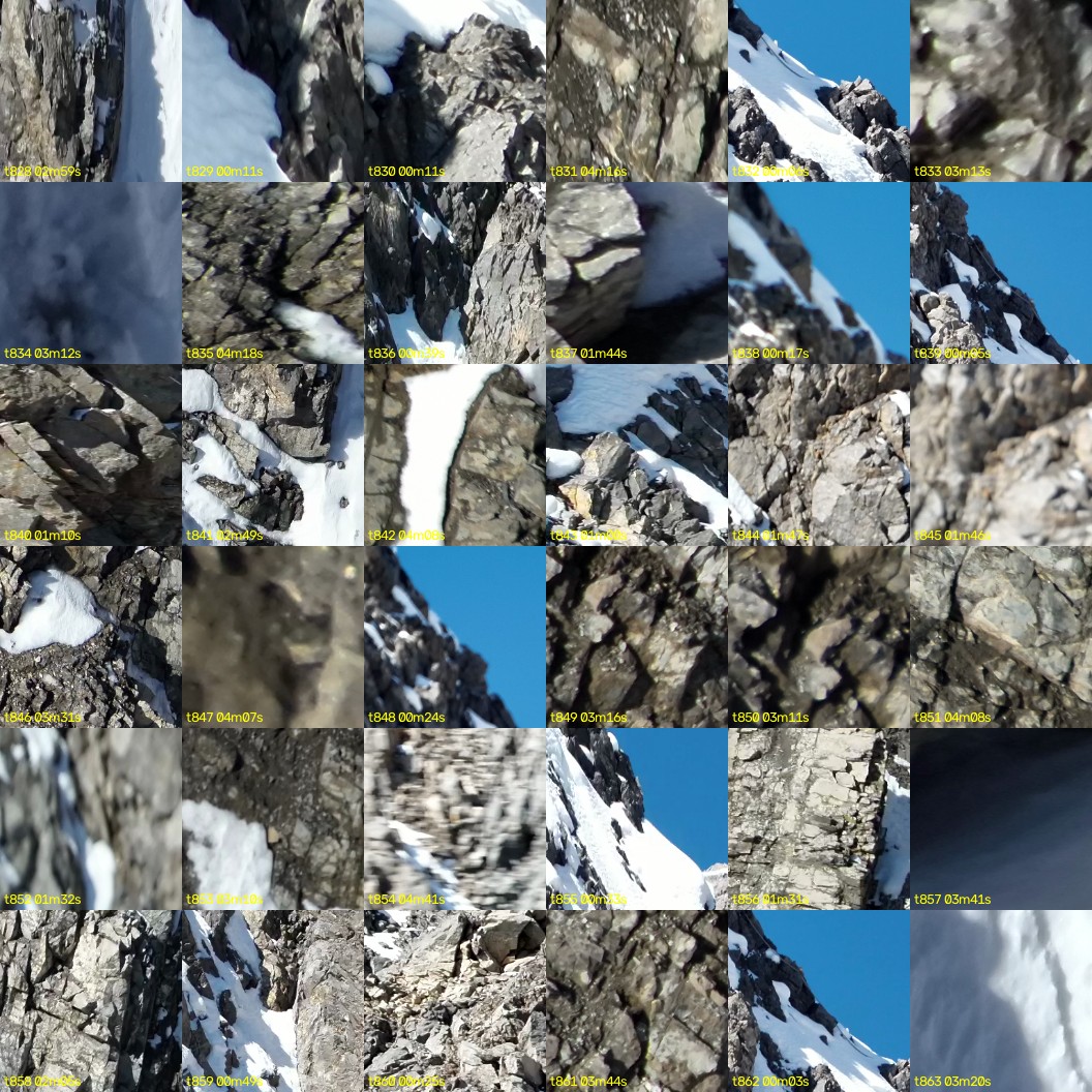 montage_23.jpg