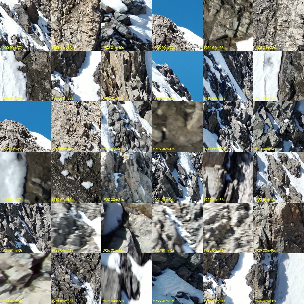 montage_25.jpg