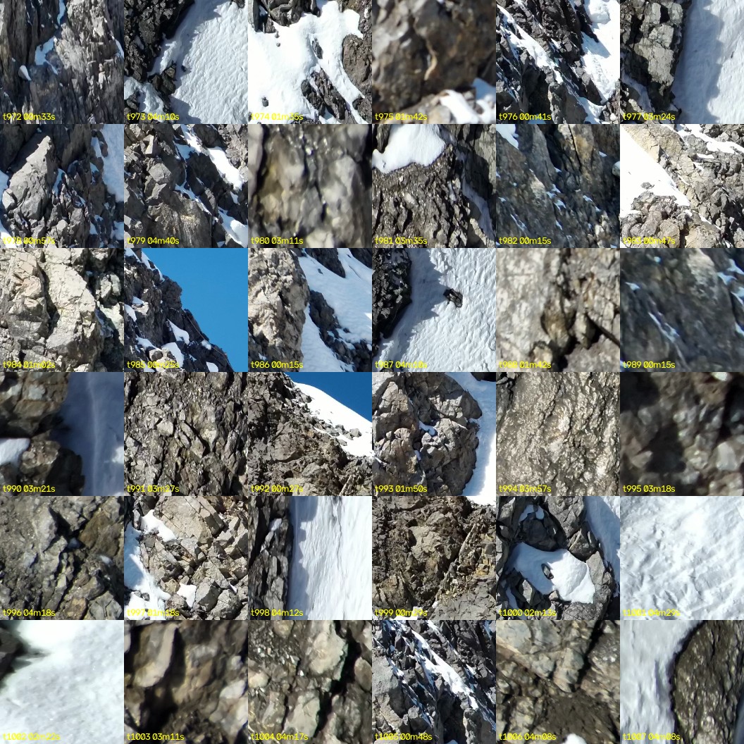 montage_27.jpg