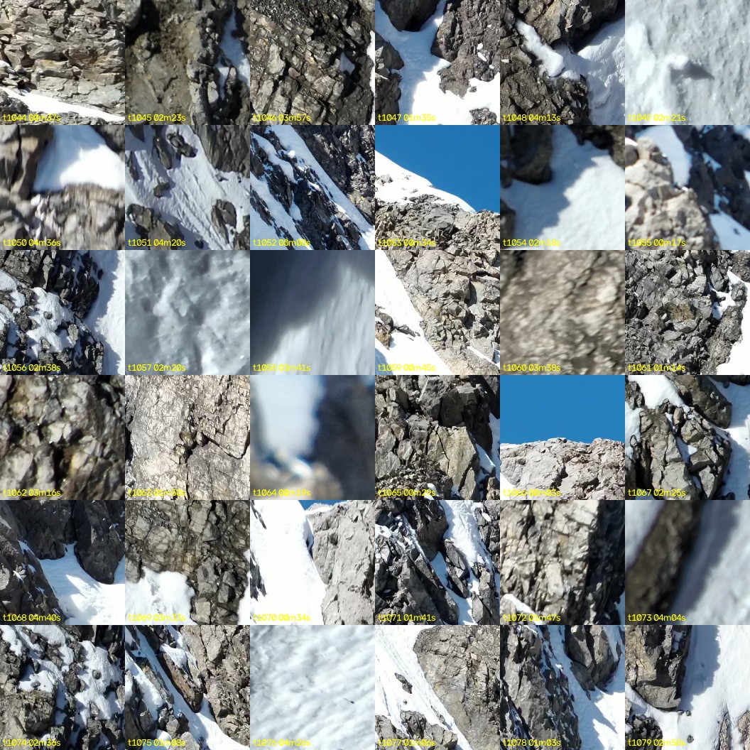 montage_29.jpg
