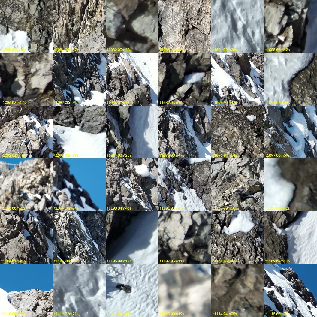 montage_30.jpg