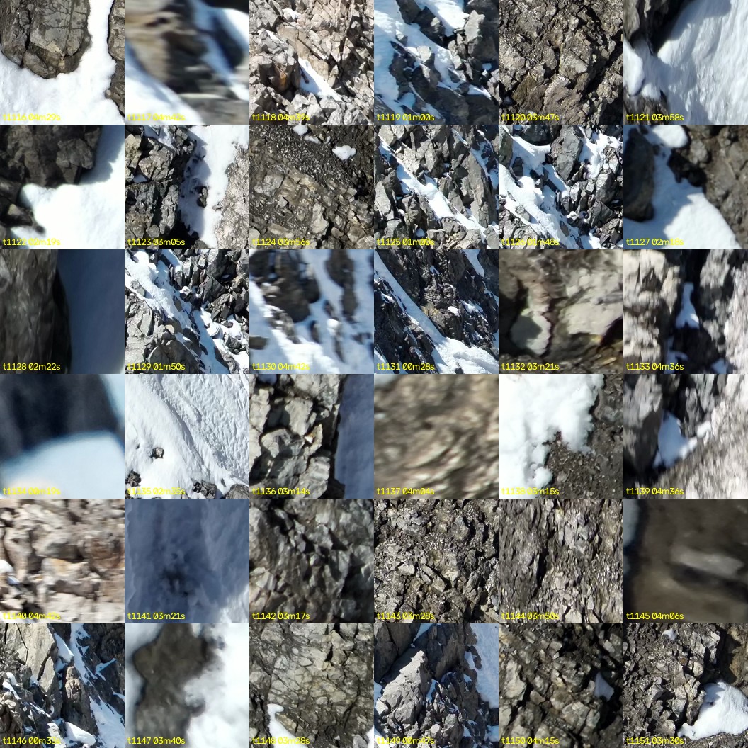 montage_31.jpg