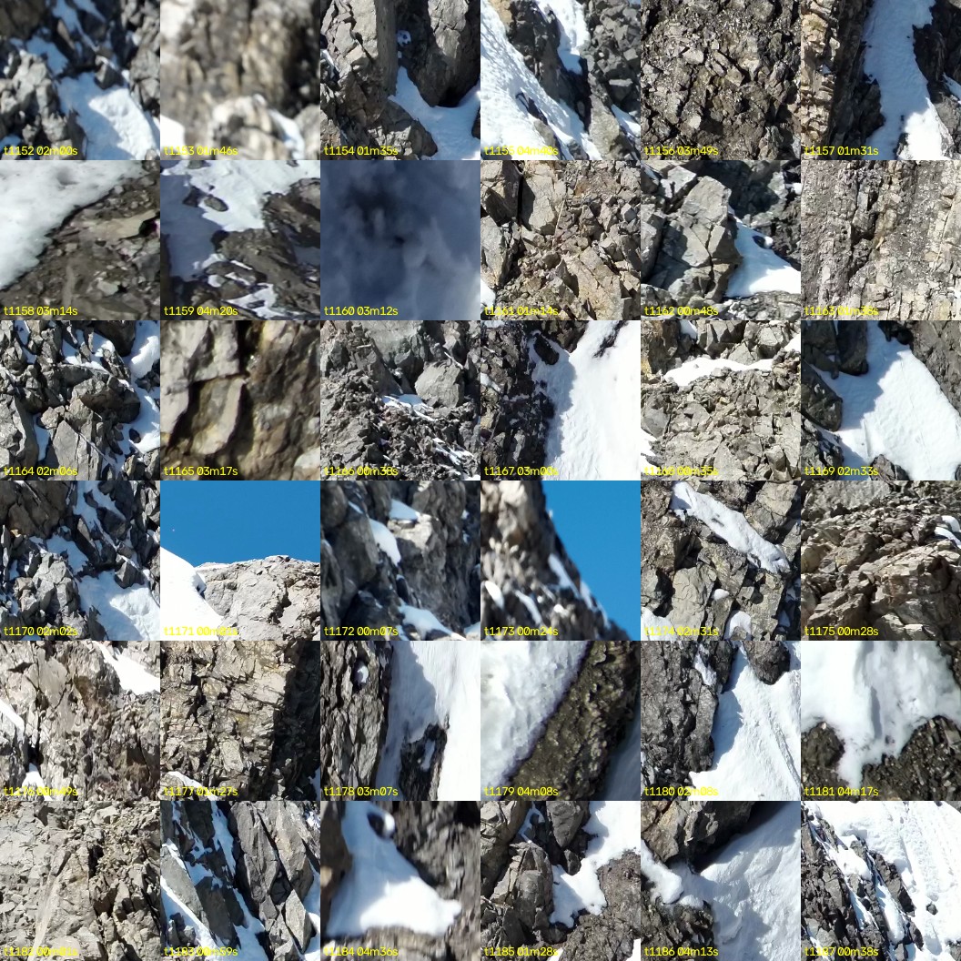 montage_32.jpg