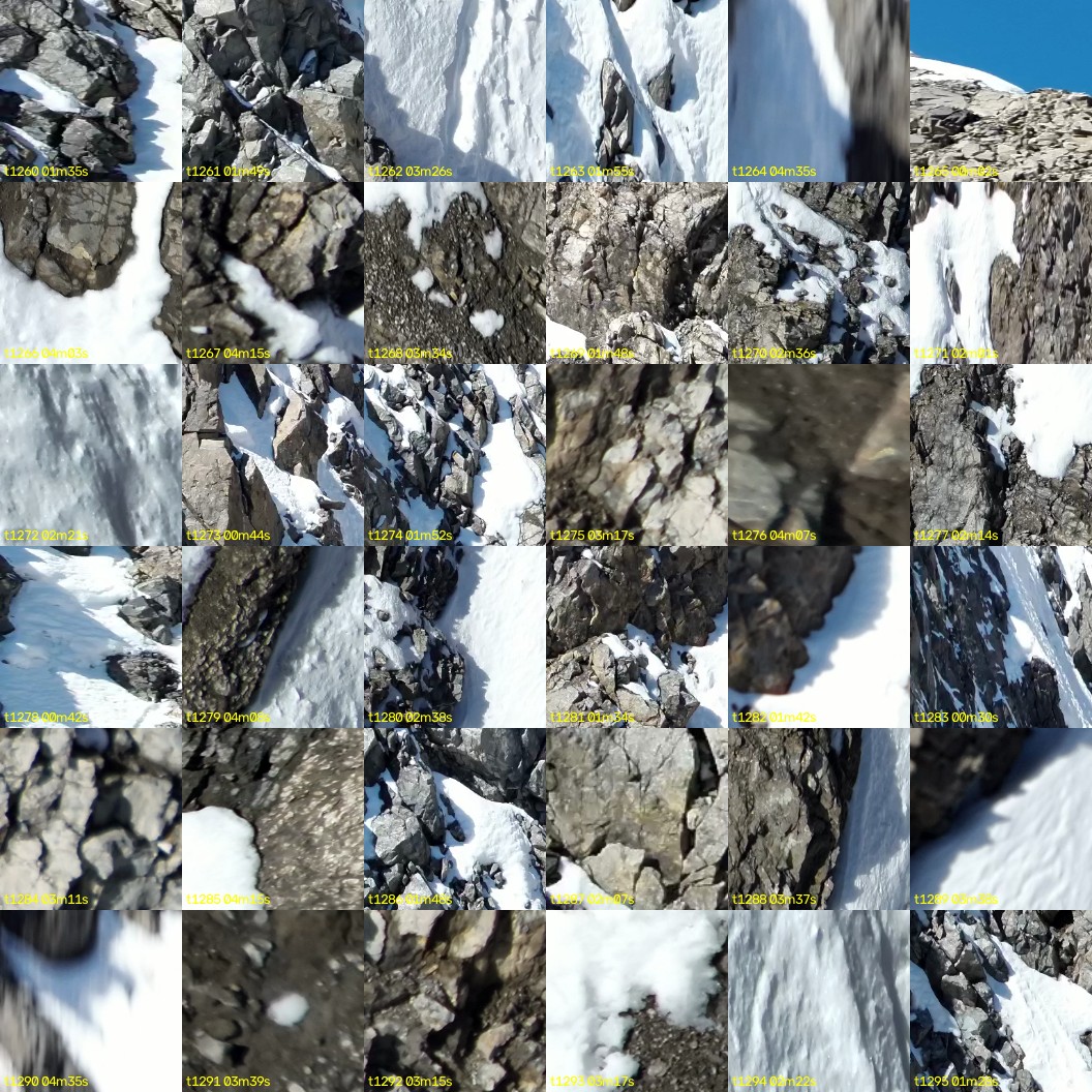 montage_35.jpg