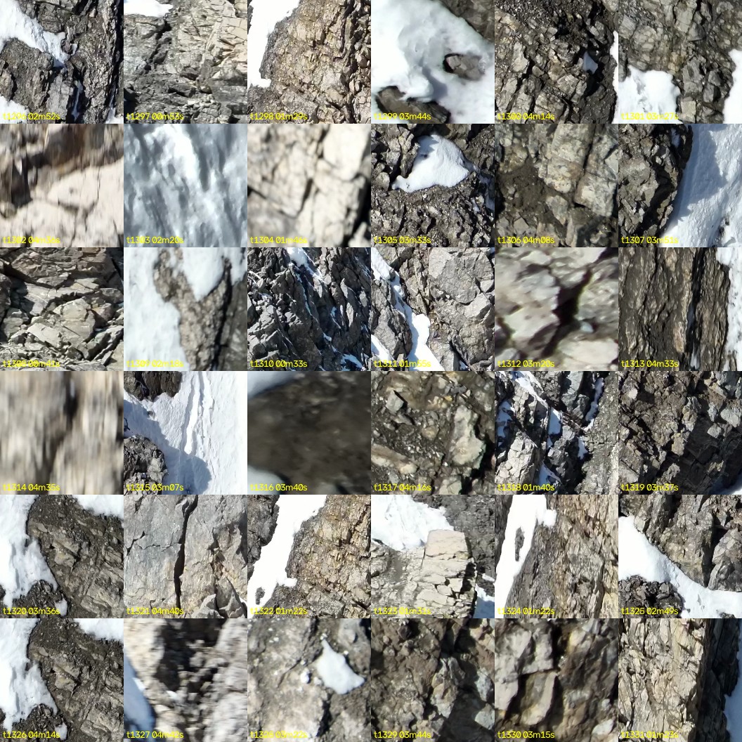 montage_36.jpg