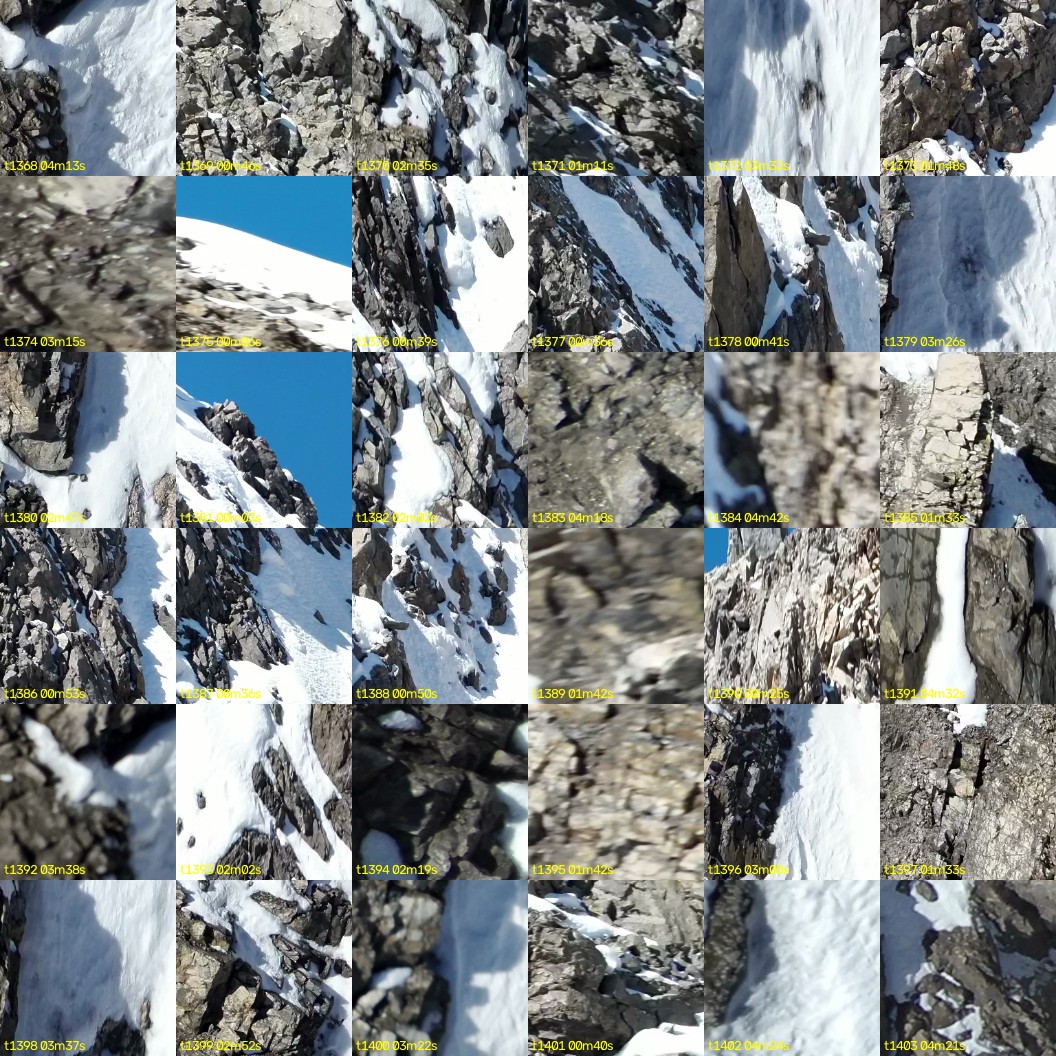 montage_38.jpg