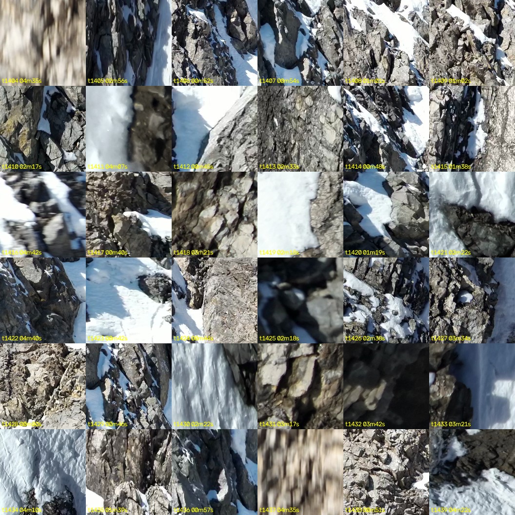 montage_39.jpg
