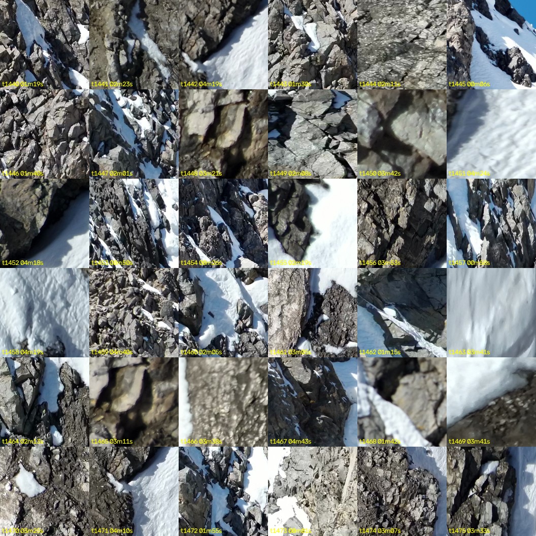 montage_40.jpg