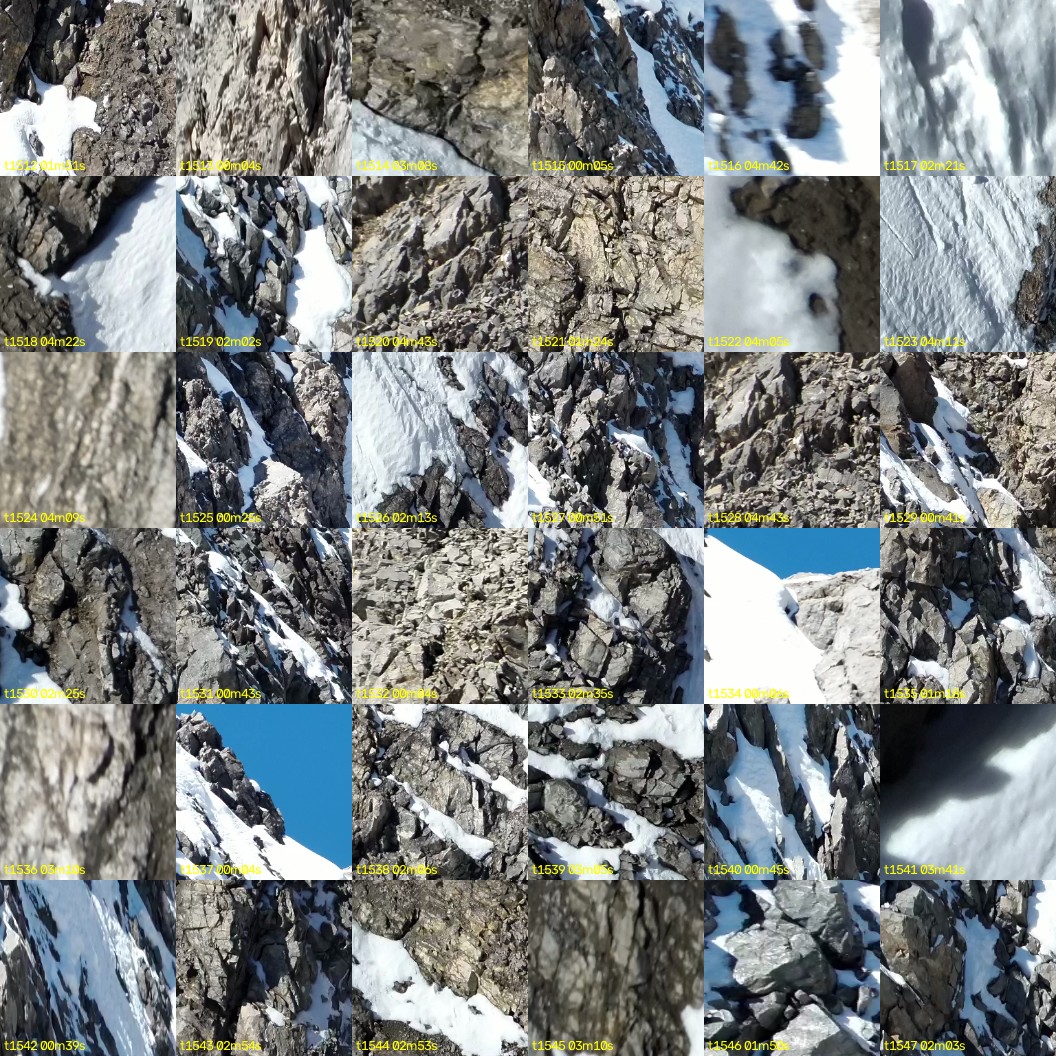 montage_42.jpg