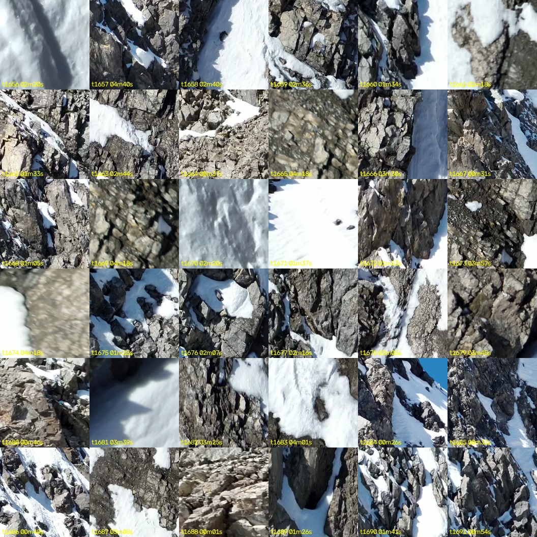 montage_46.jpg