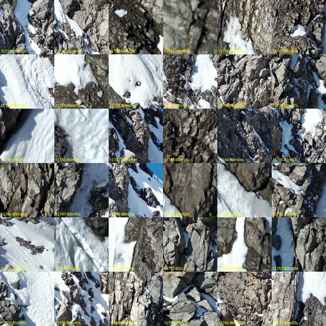 montage_48.jpg