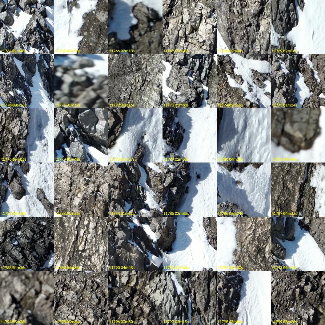 montage_49.jpg