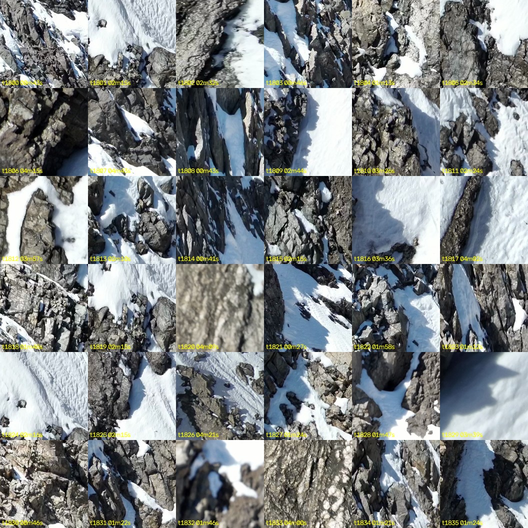 montage_50.jpg