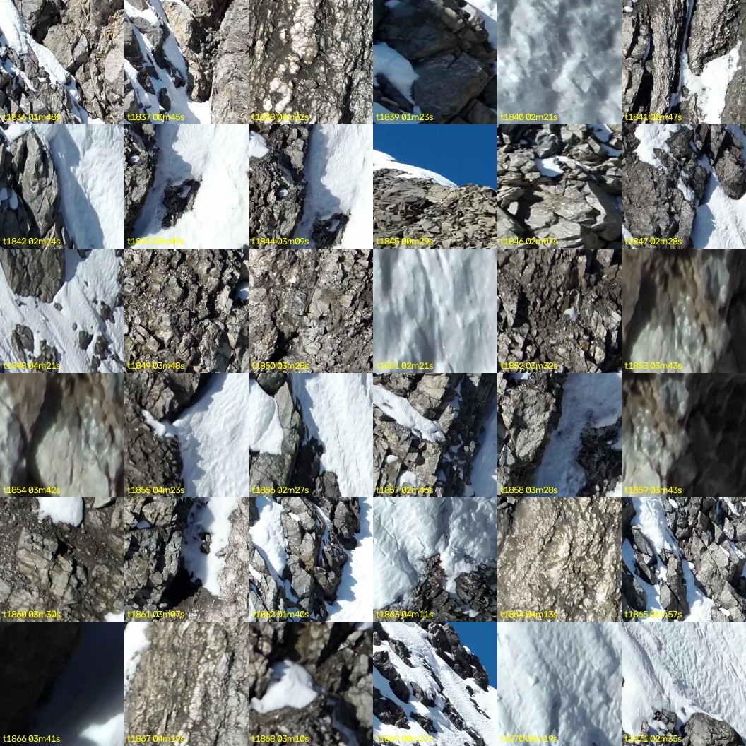 montage_51.jpg