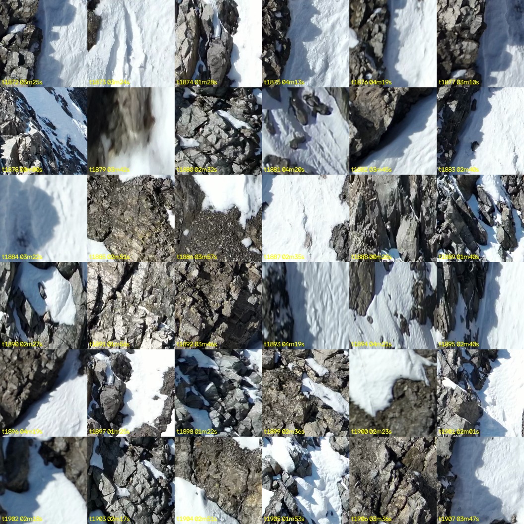 montage_52.jpg