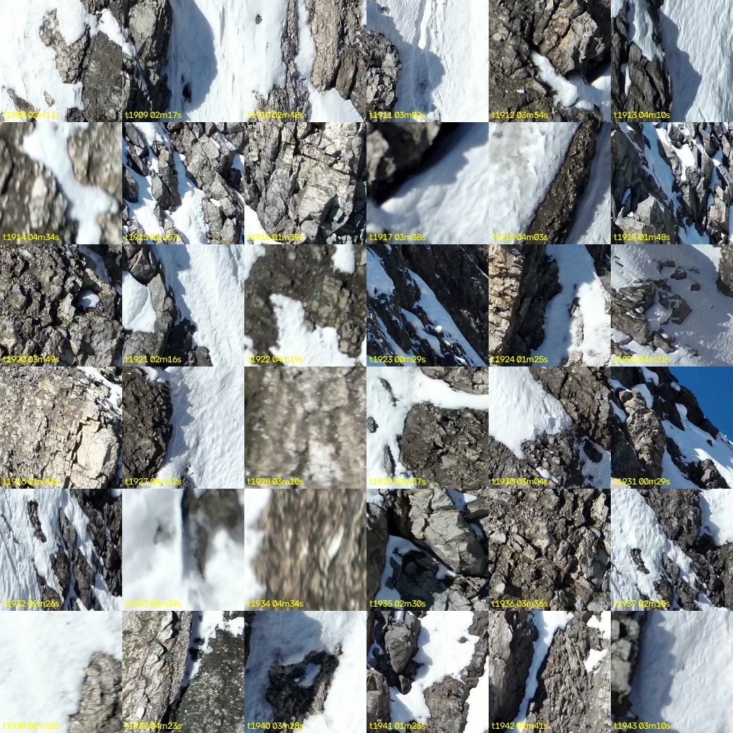 montage_53.jpg