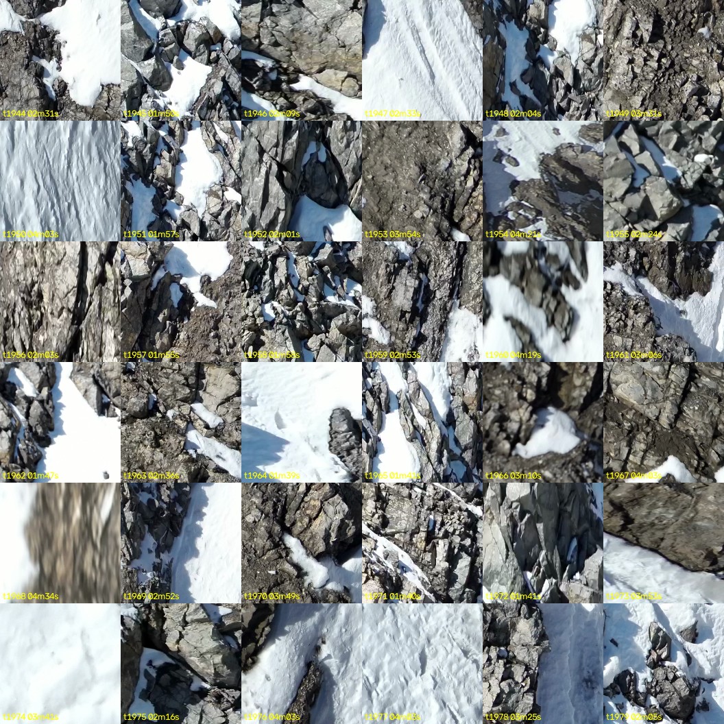 montage_54.jpg