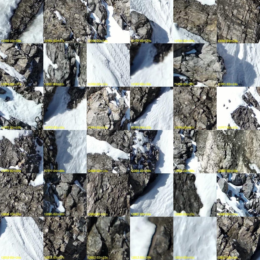 montage_55.jpg