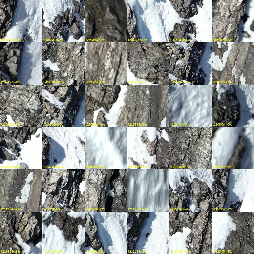 montage_58.jpg