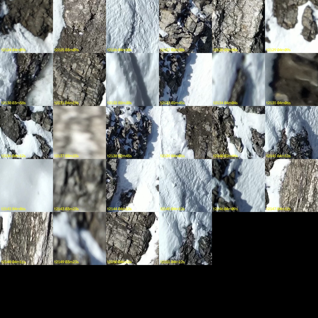 montage_59.jpg
