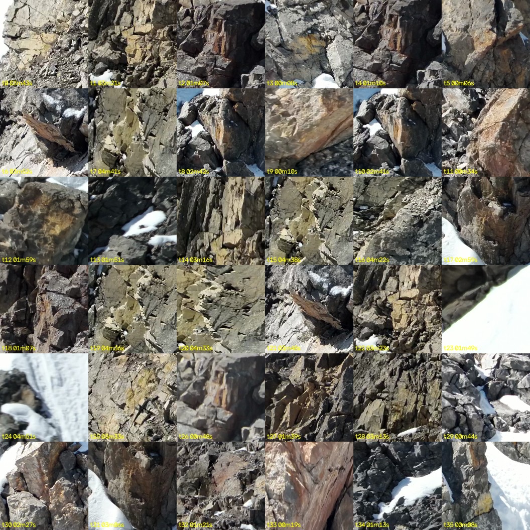 montage_00.jpg