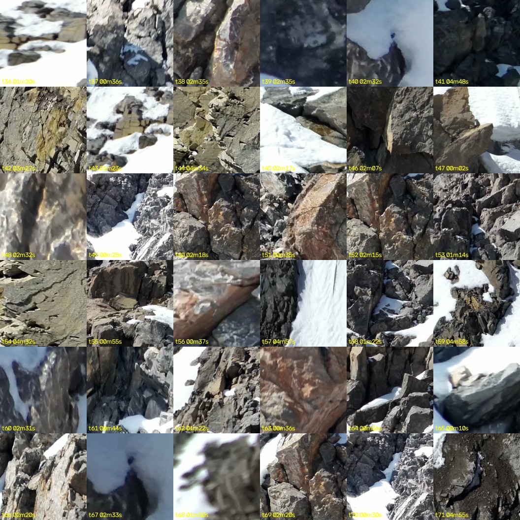 montage_01.jpg
