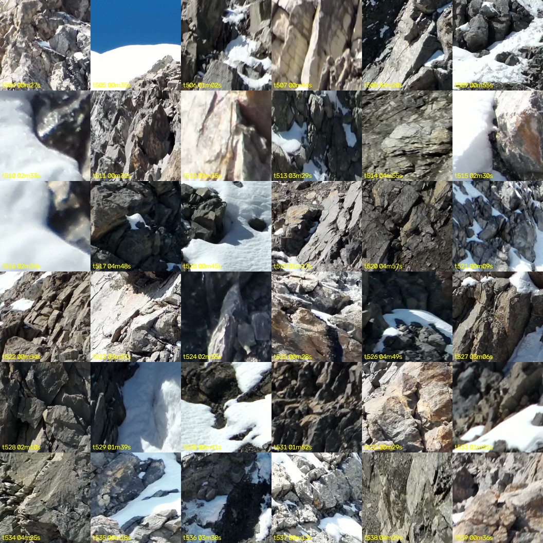 montage_14.jpg