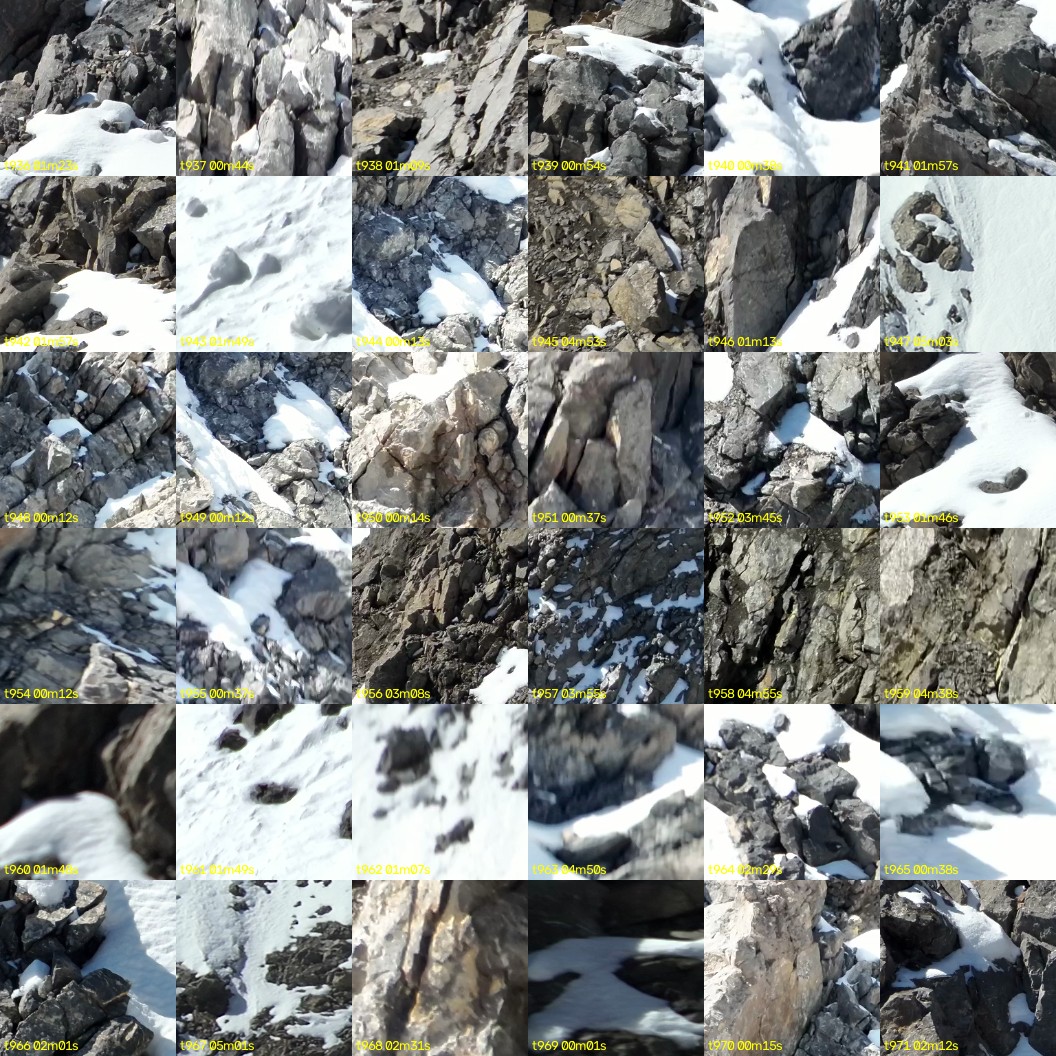 montage_26.jpg