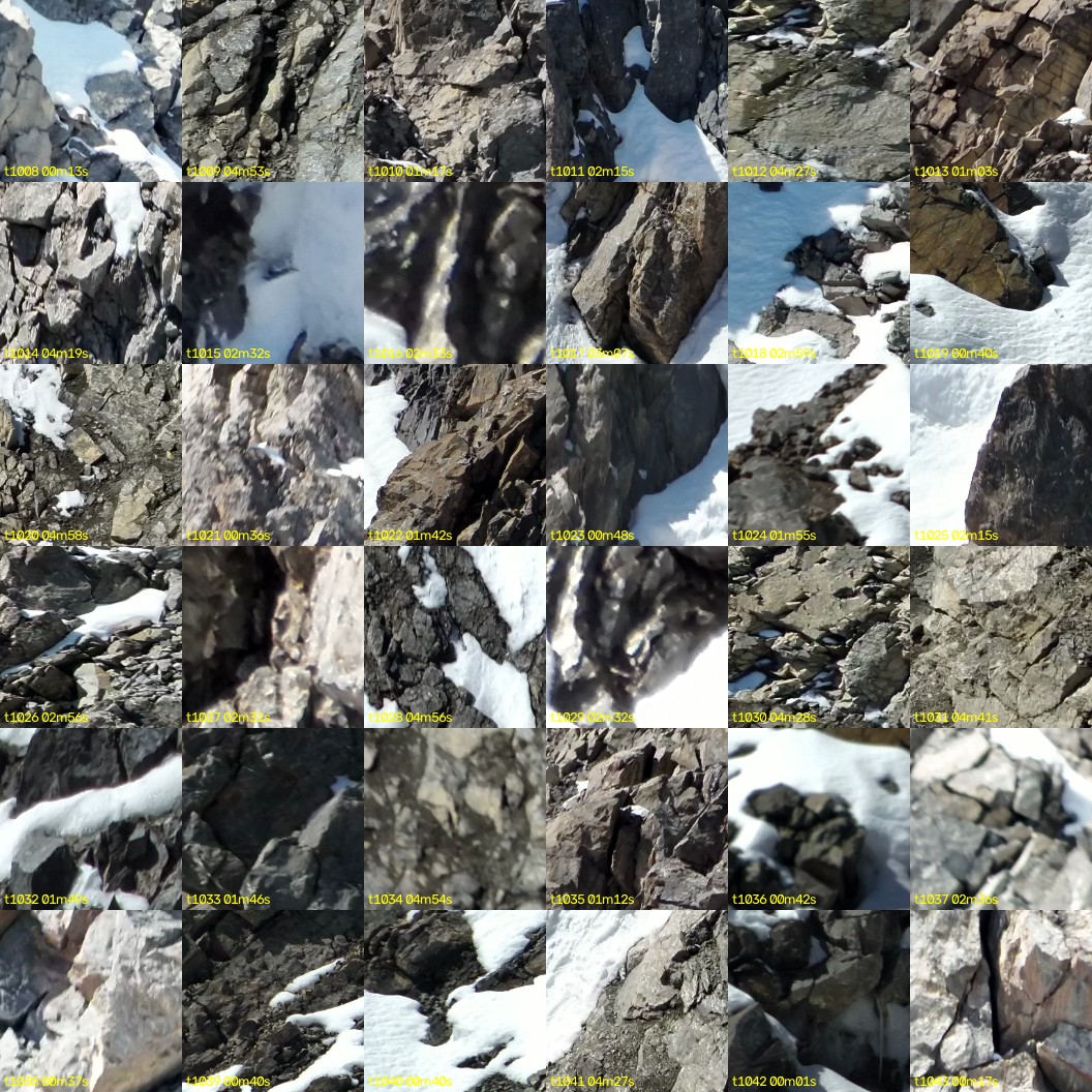 montage_28.jpg