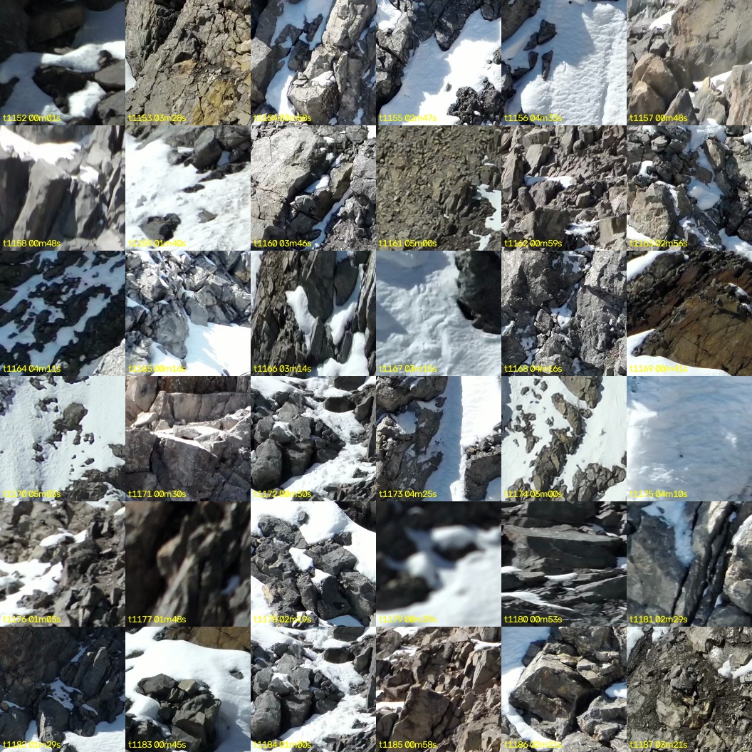 montage_32.jpg