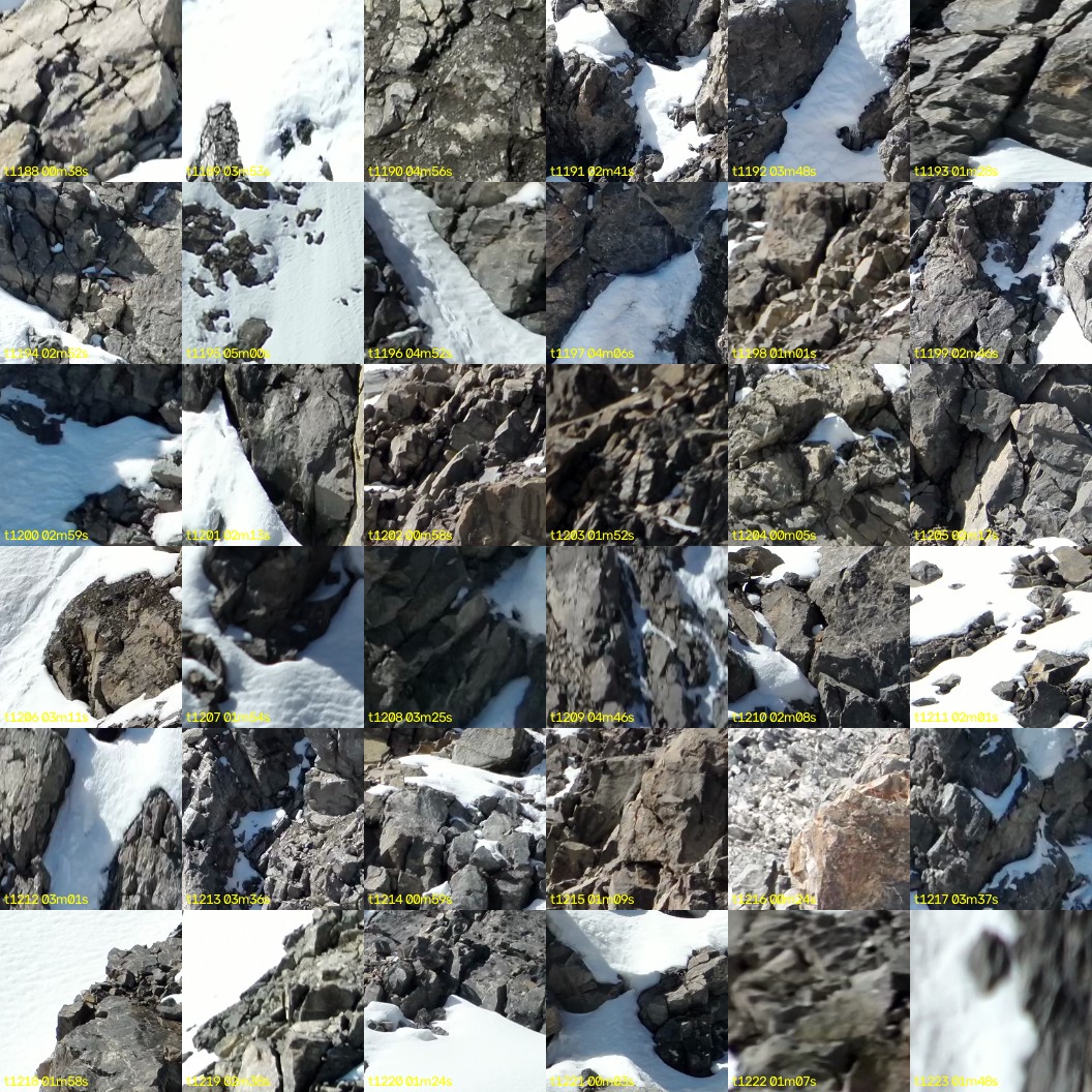 montage_33.jpg