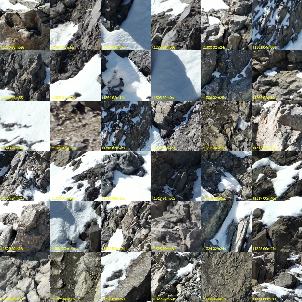 montage_36.jpg