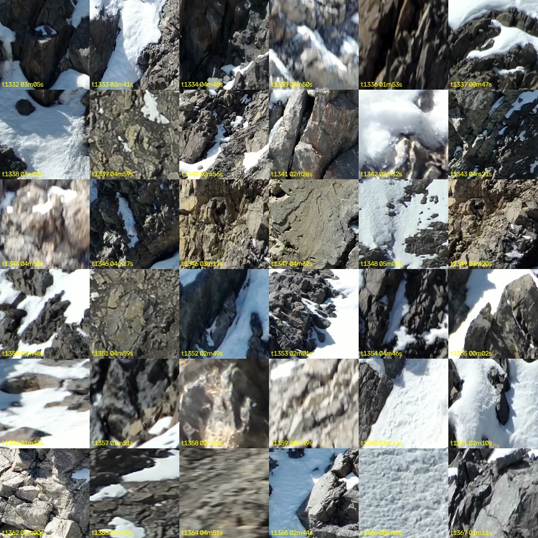 montage_37.jpg