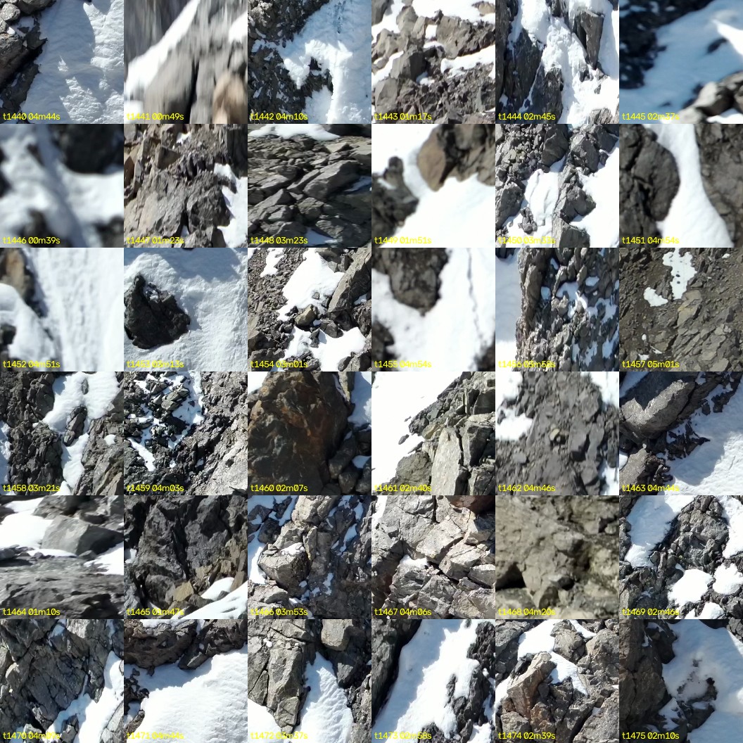 montage_40.jpg