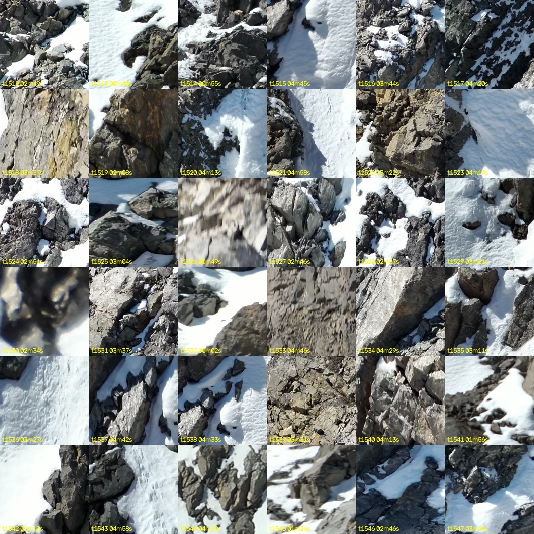 montage_42.jpg