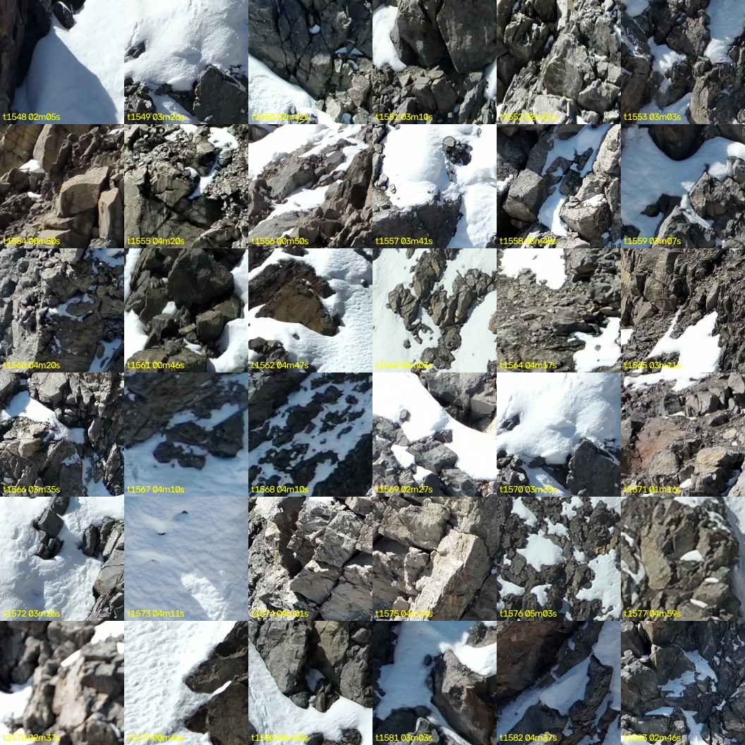 montage_43.jpg