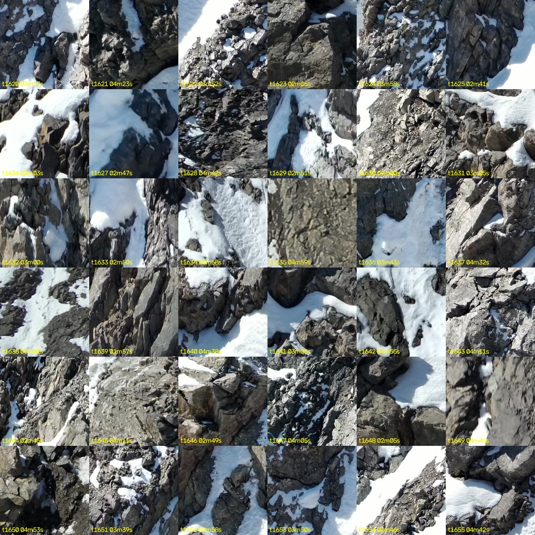 montage_45.jpg