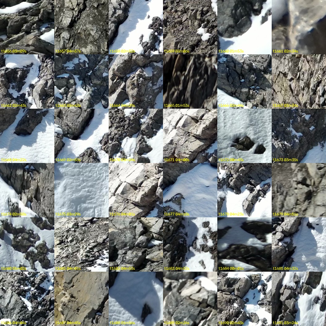 montage_46.jpg