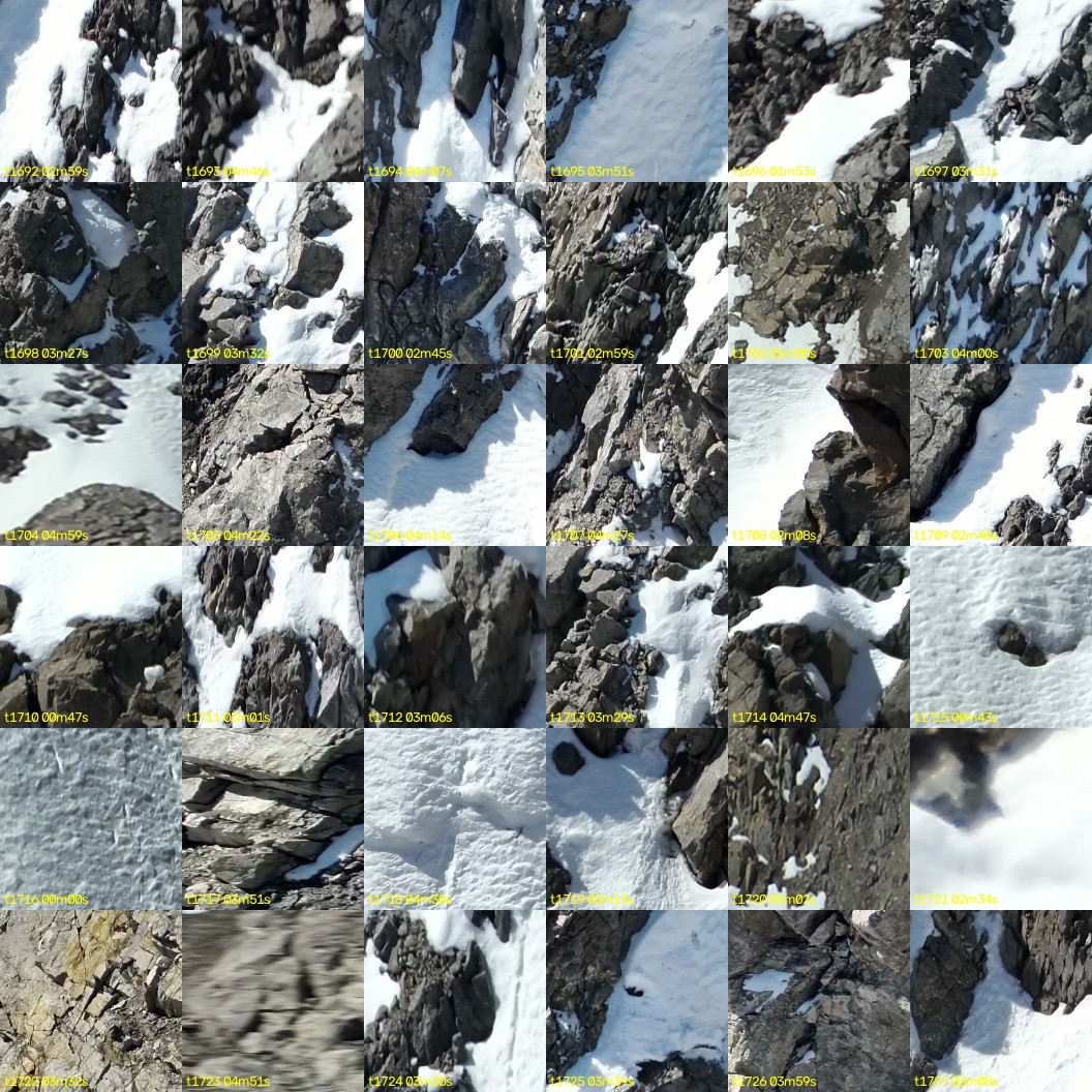 montage_47.jpg