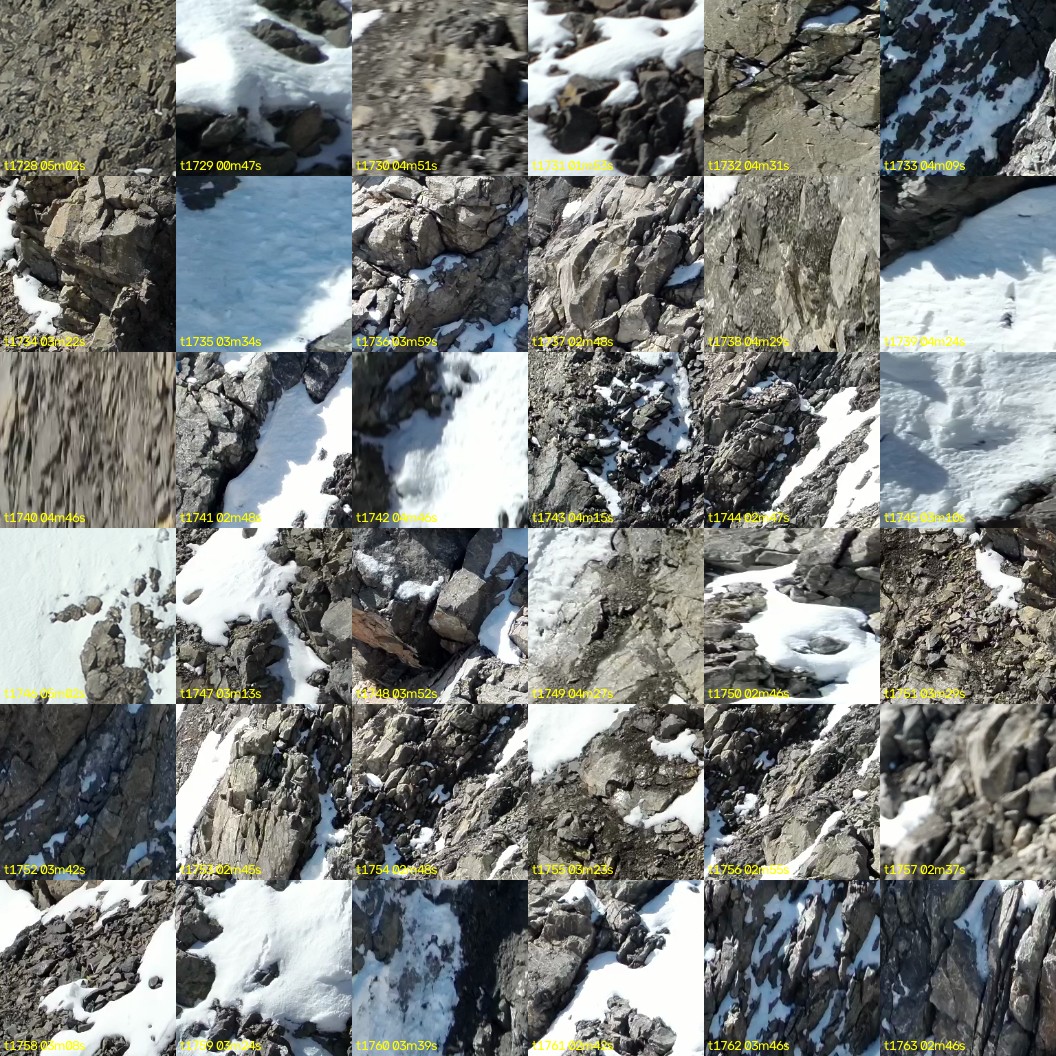 montage_48.jpg