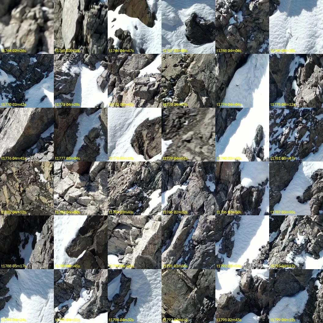 montage_49.jpg