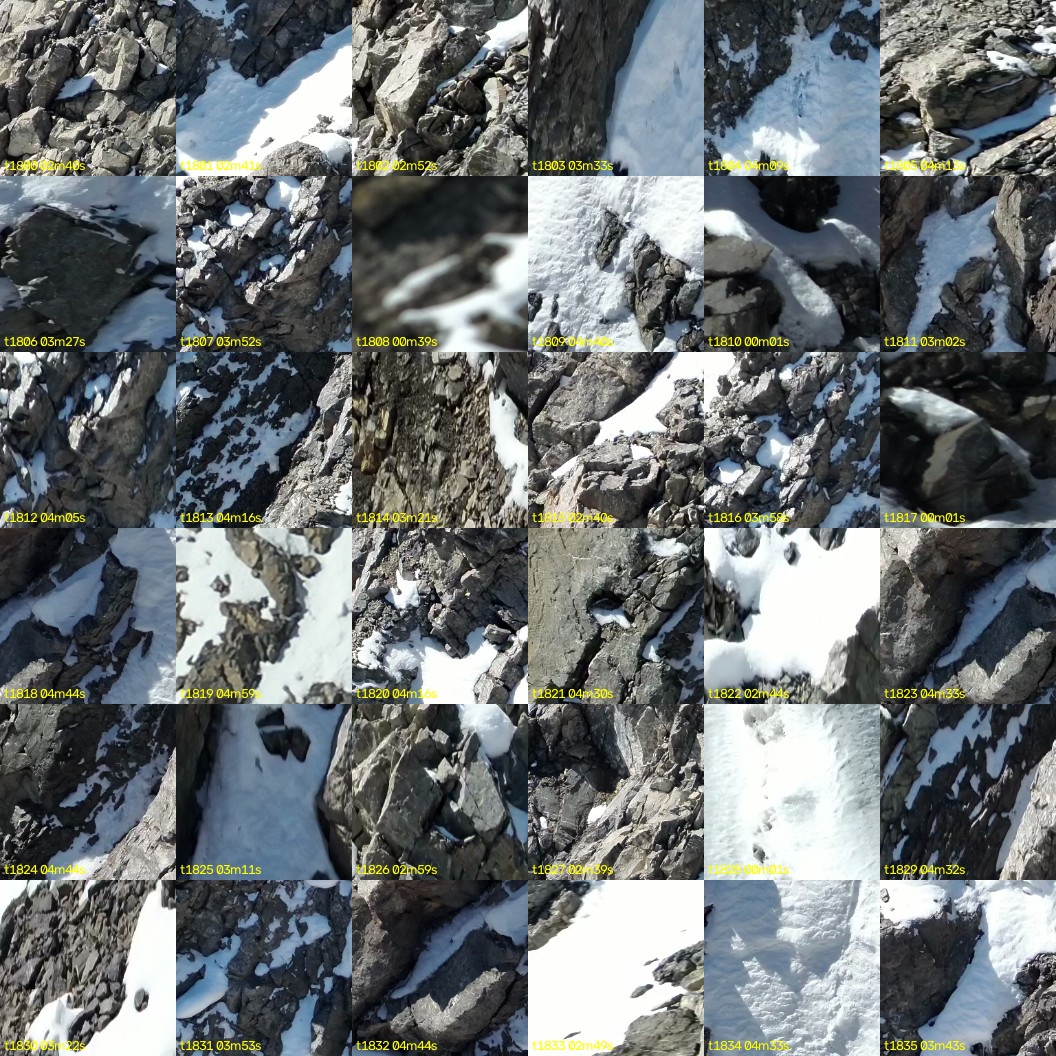 montage_50.jpg