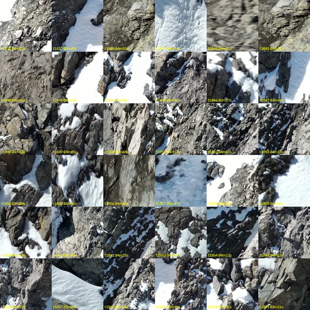 montage_51.jpg