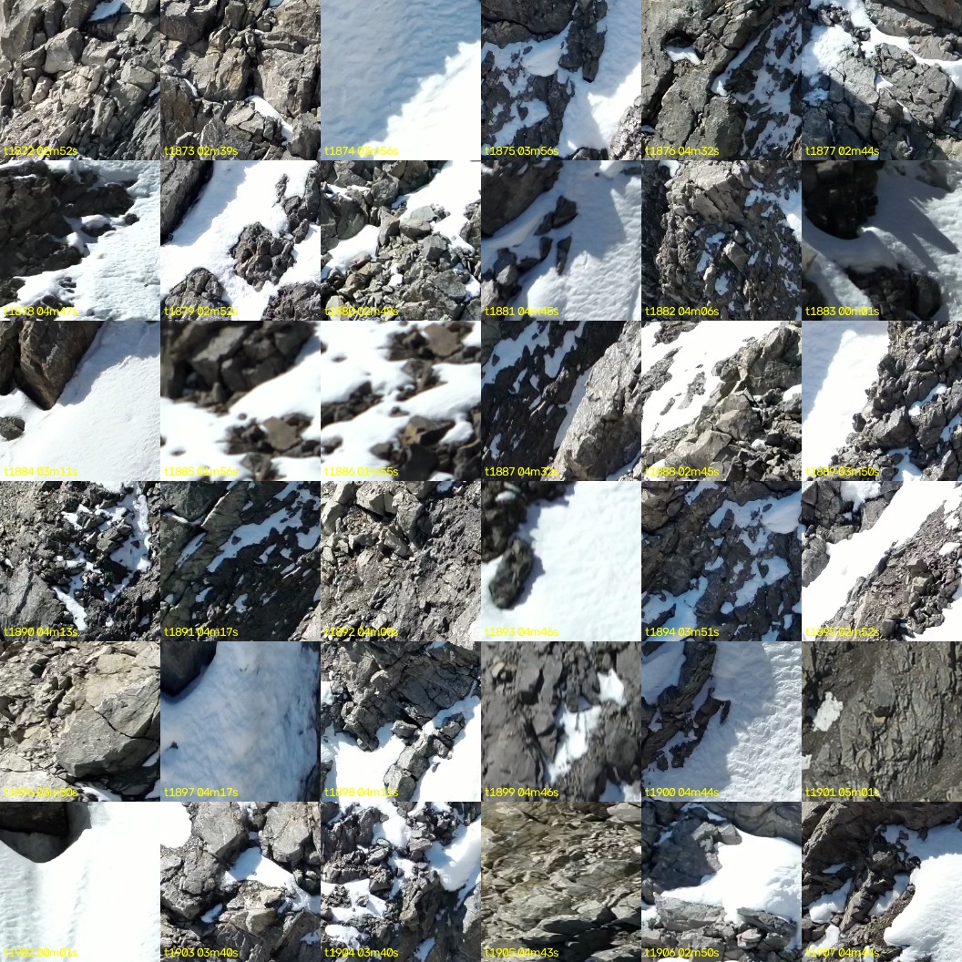 montage_52.jpg