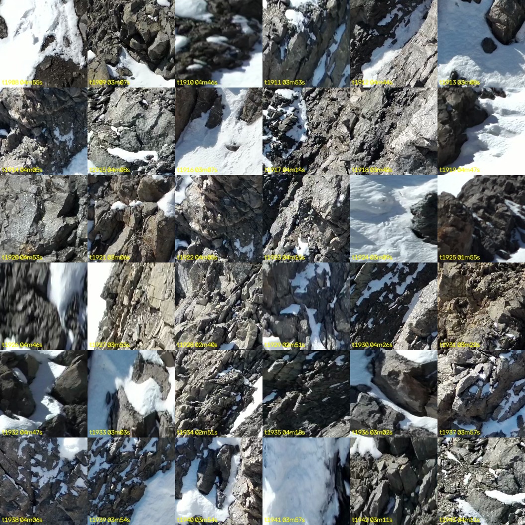 montage_53.jpg