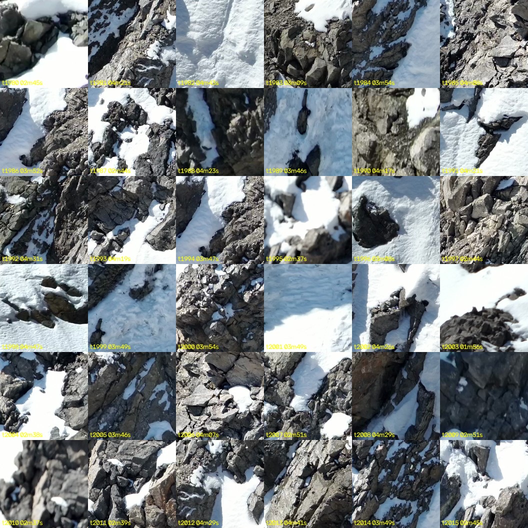 montage_55.jpg