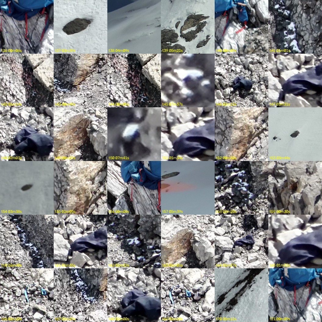 montage_01.jpg