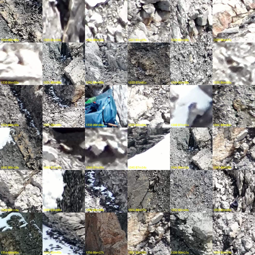 montage_09.jpg